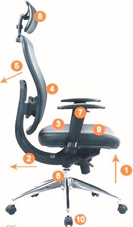 Govt Chair – Should-Have Options