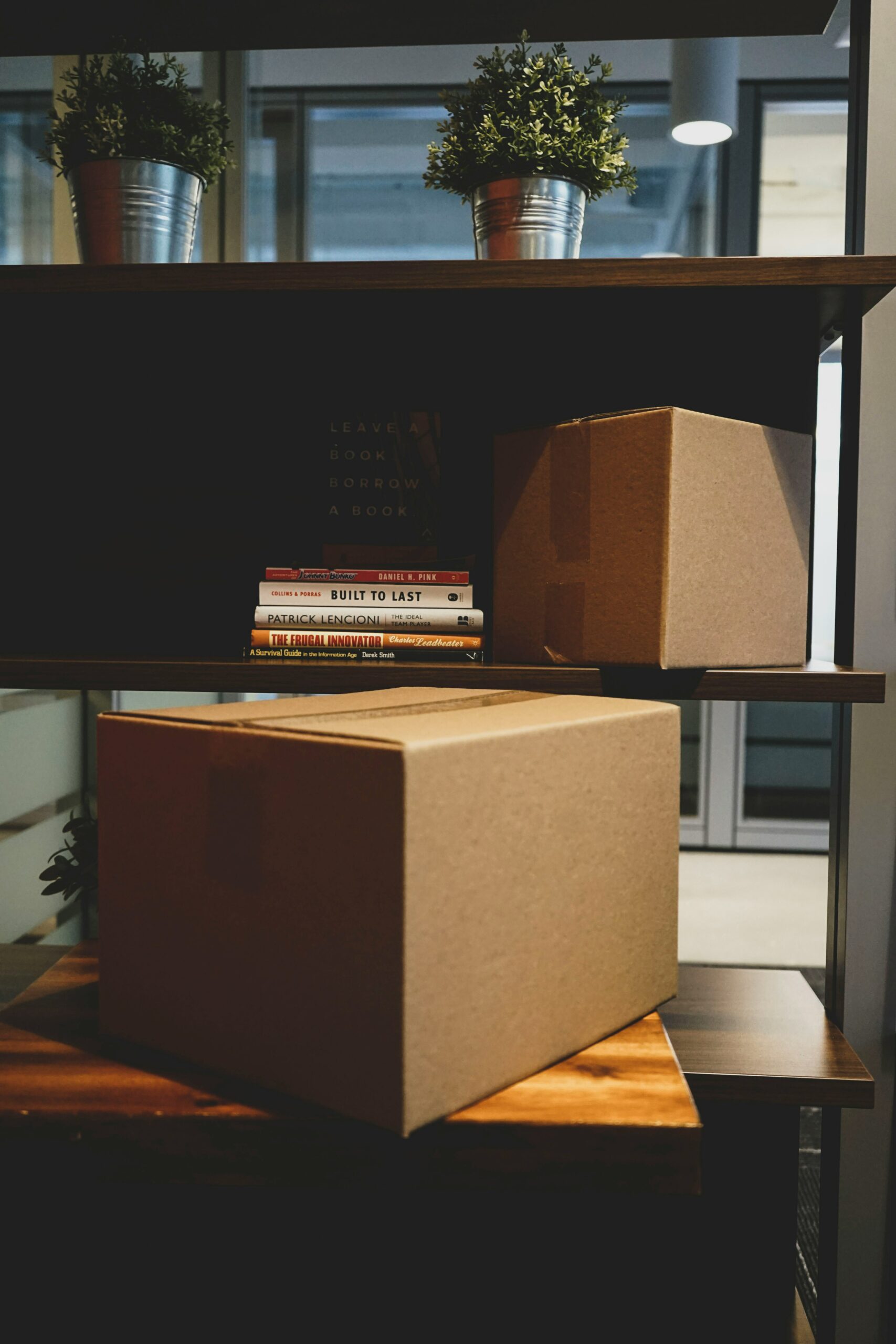 Pack Books for Shifting: Suggestions and Finest Practices